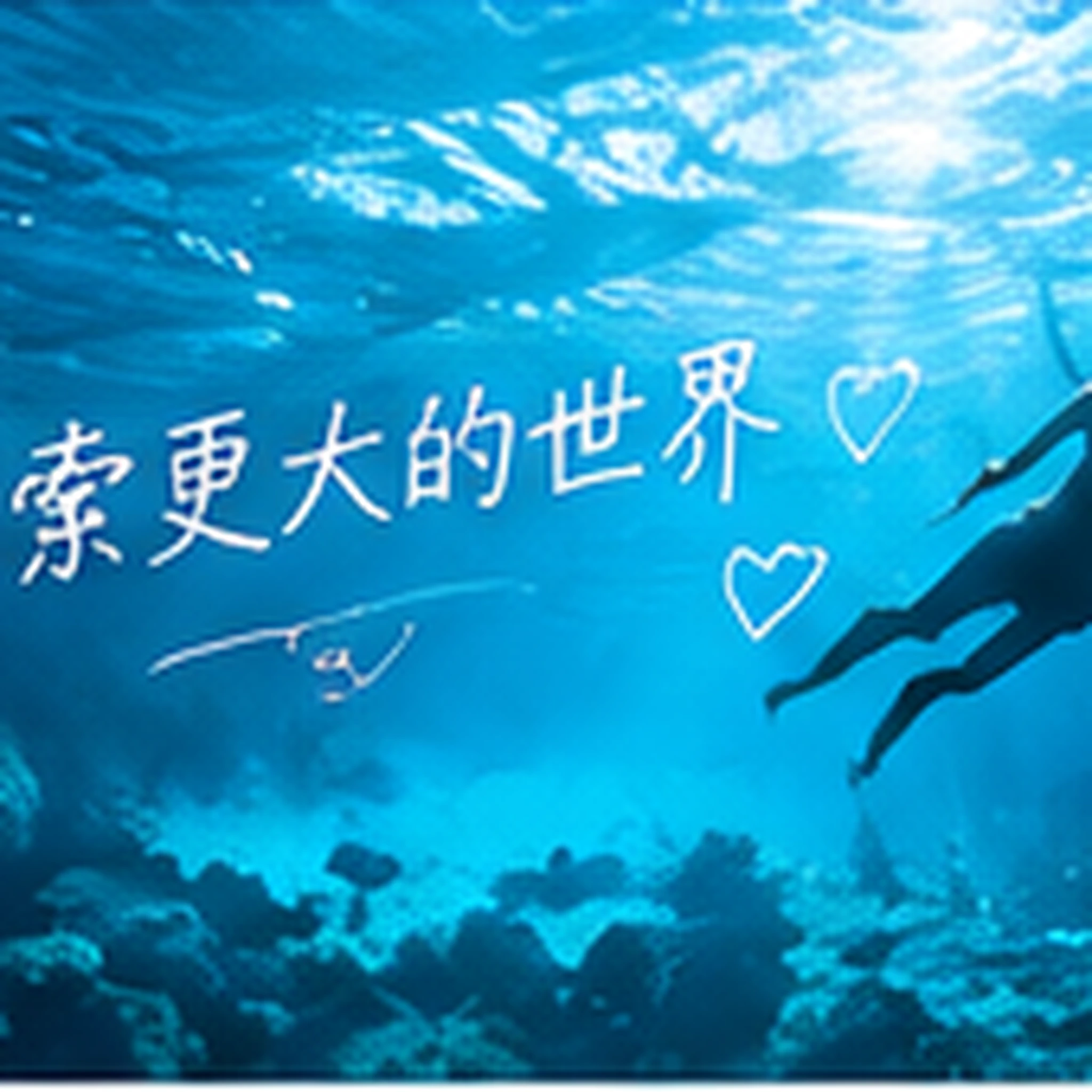 发现内容